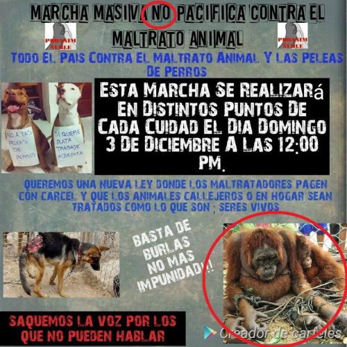 marchas contra maltrato animal marchas contra maltrato animal